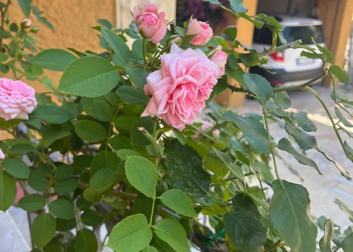 Casa Al Mare Apartment